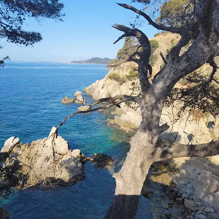 アパート Delante Del Mar