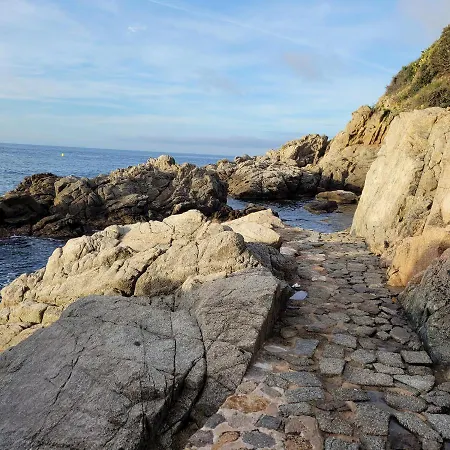 Delante Del Mar Appartamento