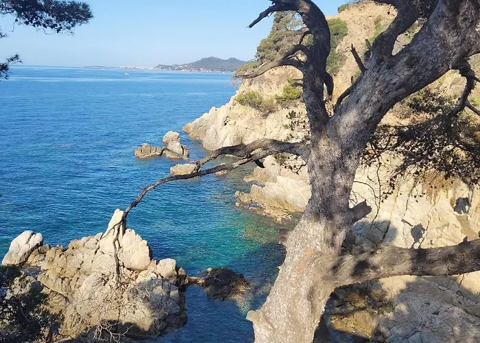 Appartement Delante Del Mar